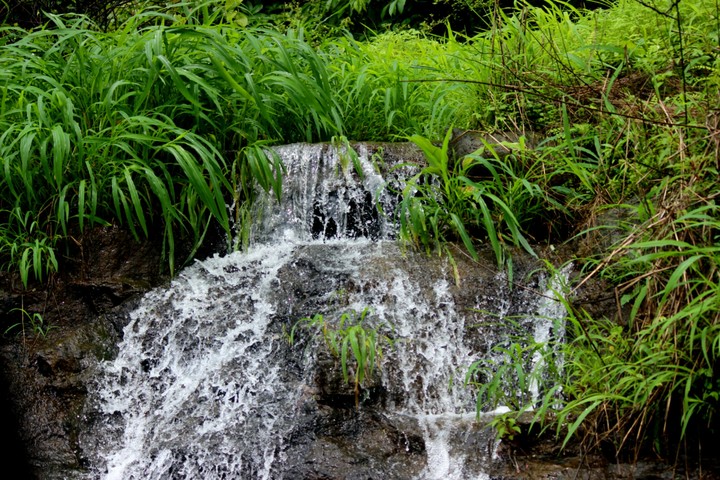 little watterfall