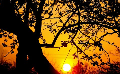 sunset