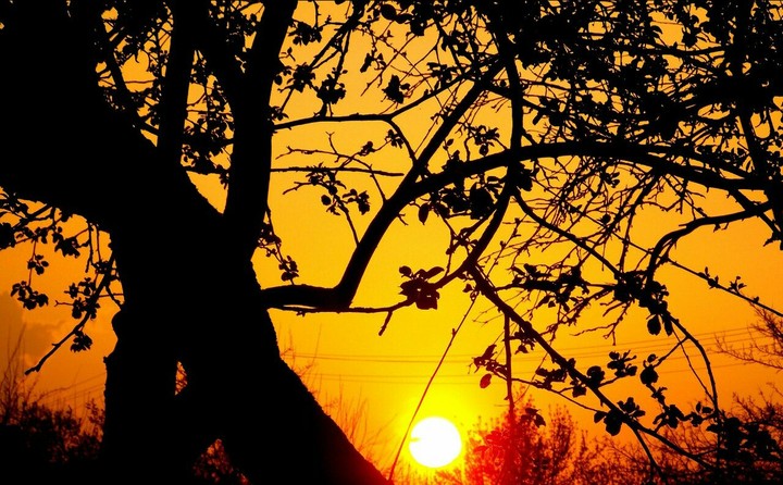 sunset