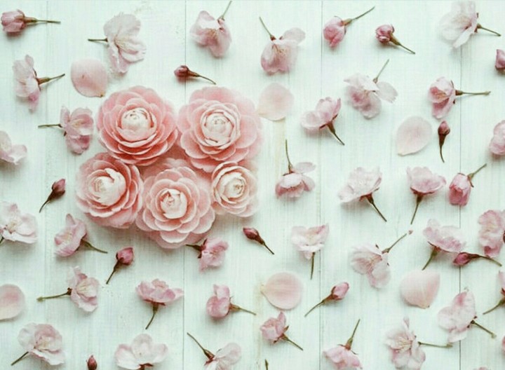 rose