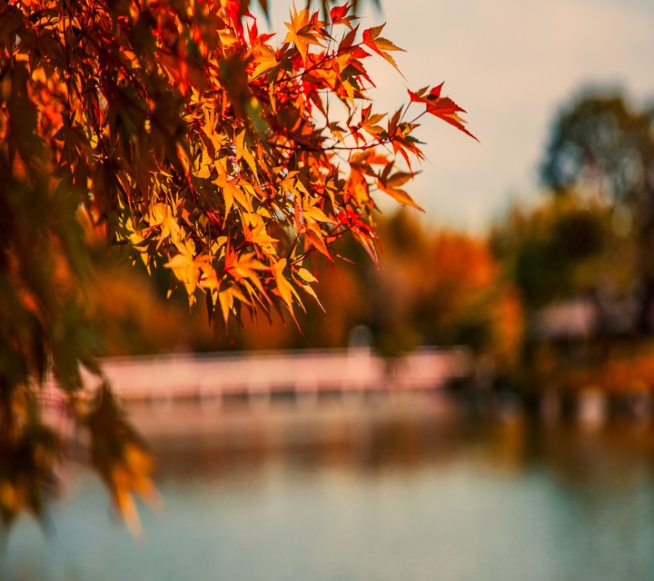 autumn