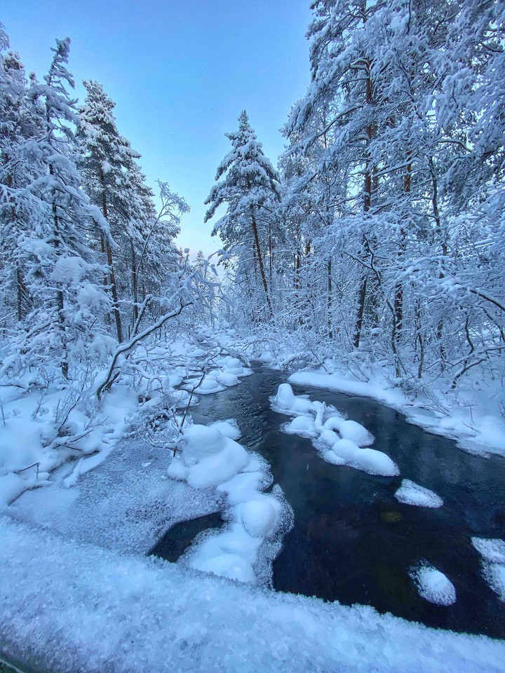 winter