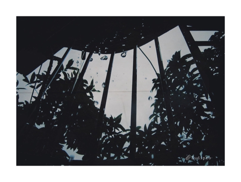 rain drop