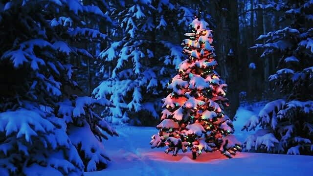 Christmas