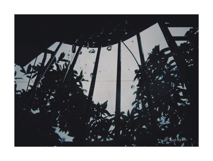 rain drop