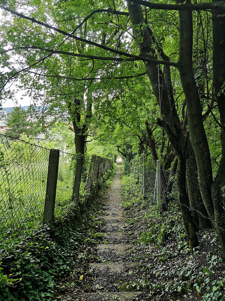 A Path