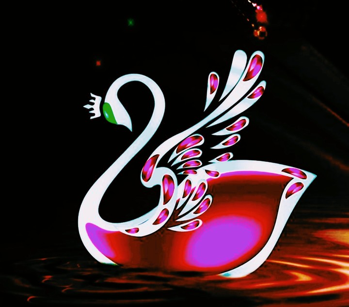 Swan