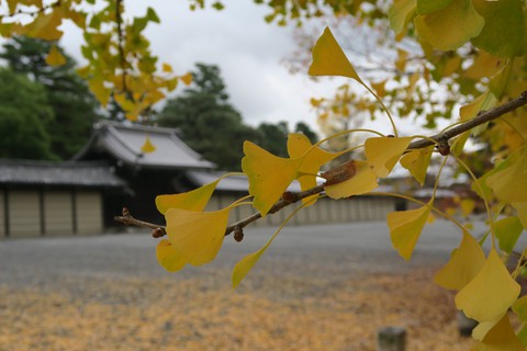 autumn