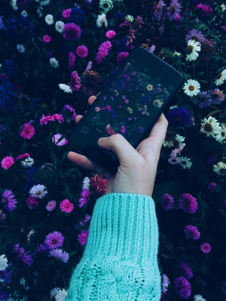 FLOVER)