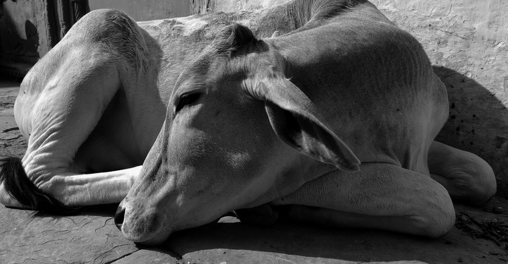 soulful being.
