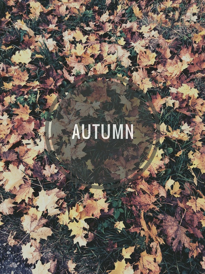 autumn