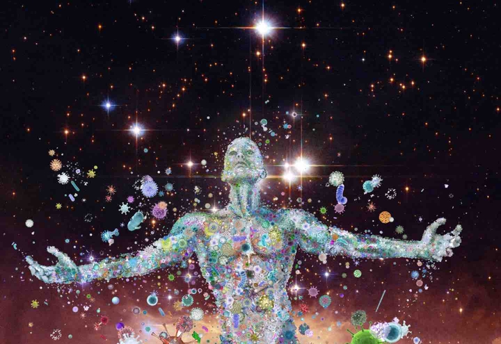 Human As Spaceship