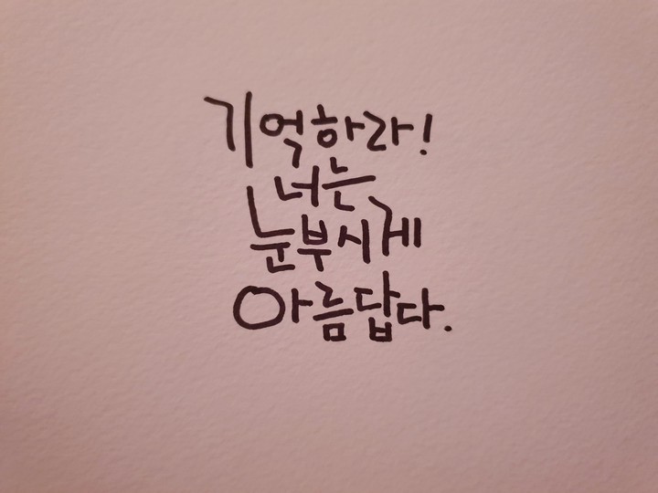 캘리