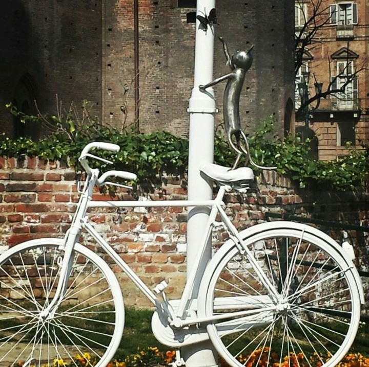 Cat on Bike in Turin