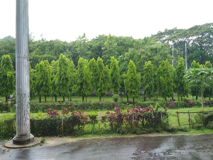 Green CU