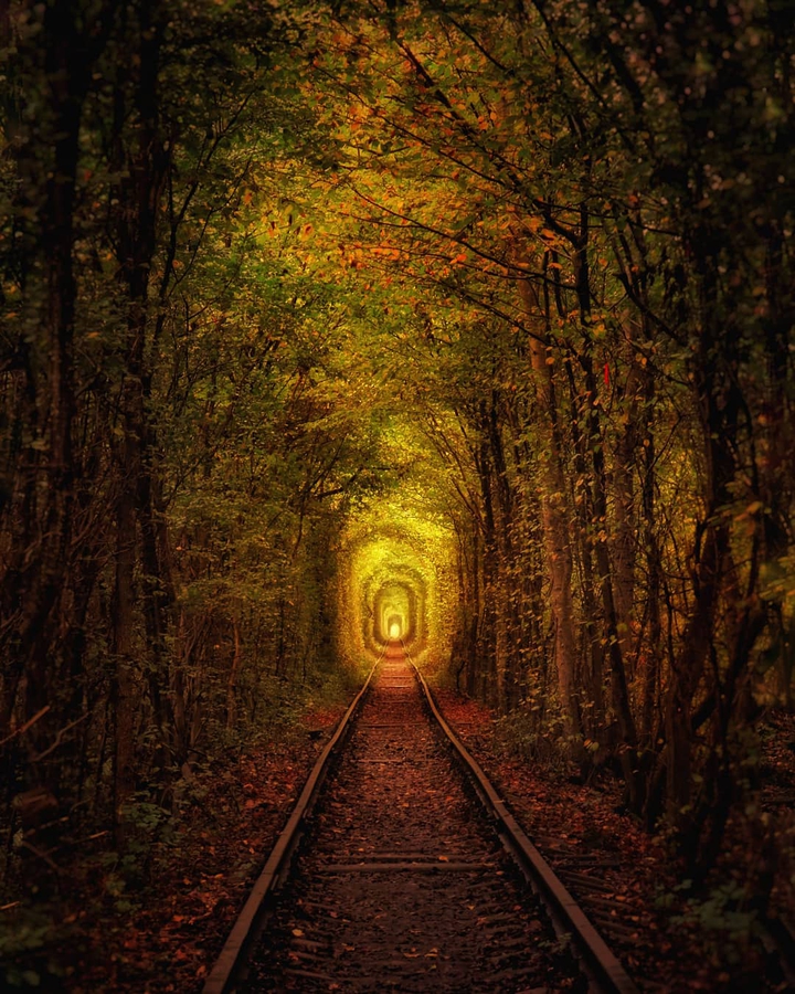 Tunnel of love