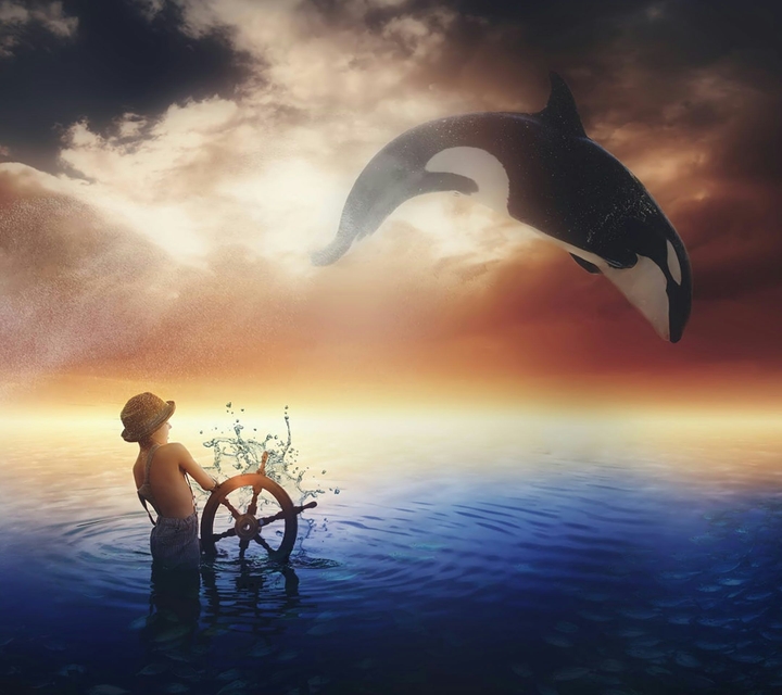 Fantasy