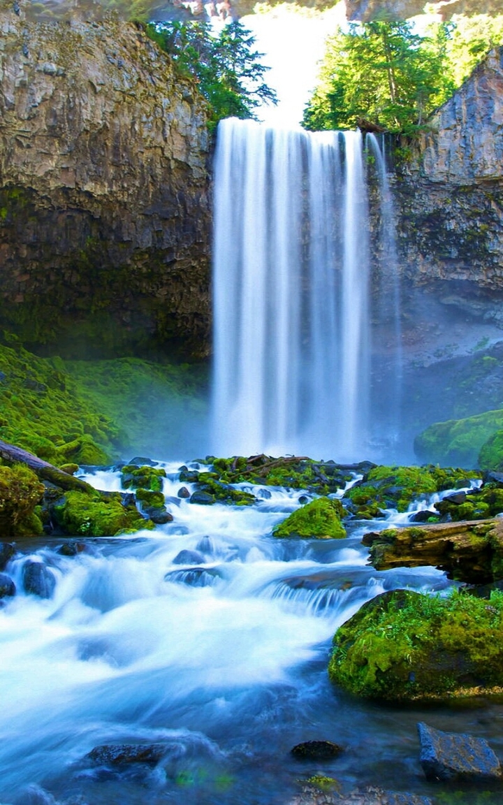 Nature