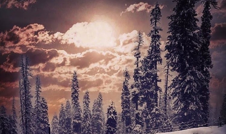 winter