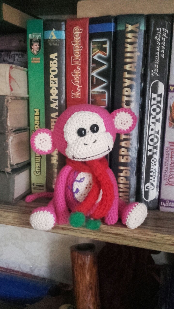 Sweet little monkey