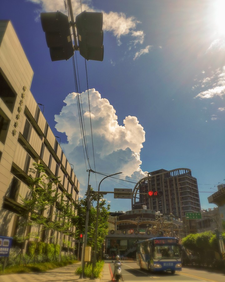 Sunny day