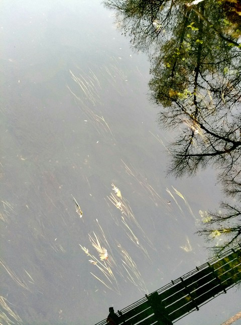 River