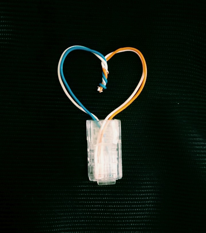 Finding Love Everywhere
