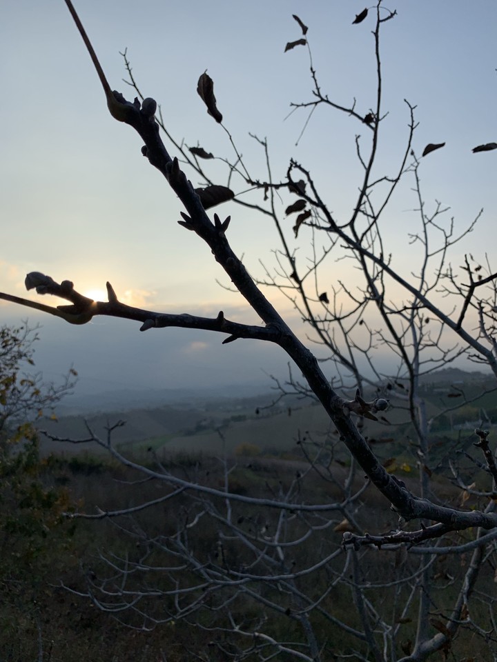 tramonto