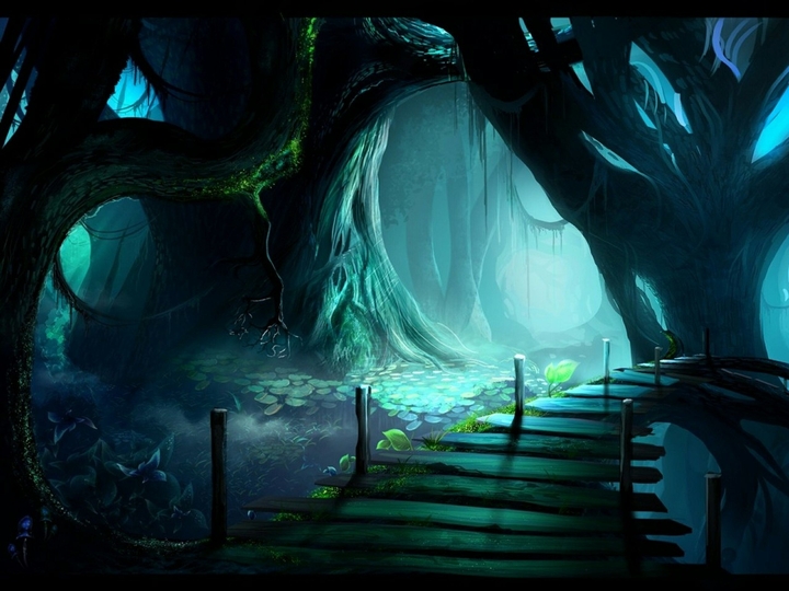 beautiful forest