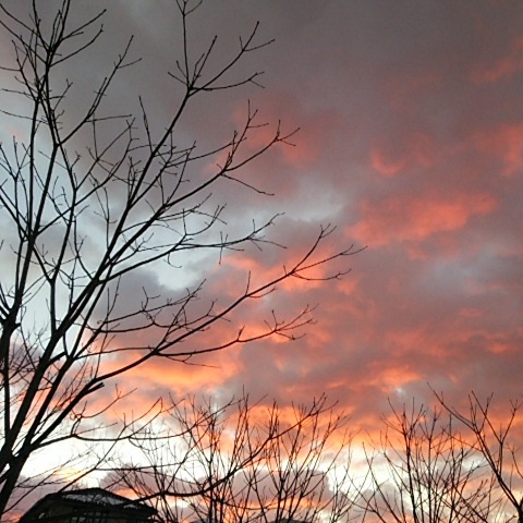 ある日の夕焼け雲