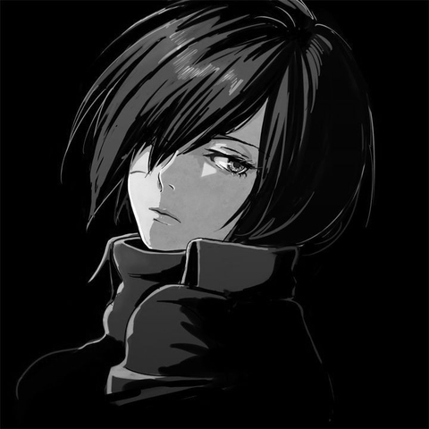 Mikasa AOT