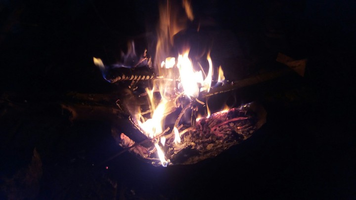 lohri festival