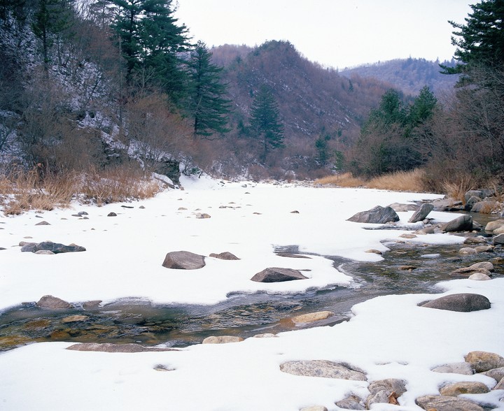 자연이미지
