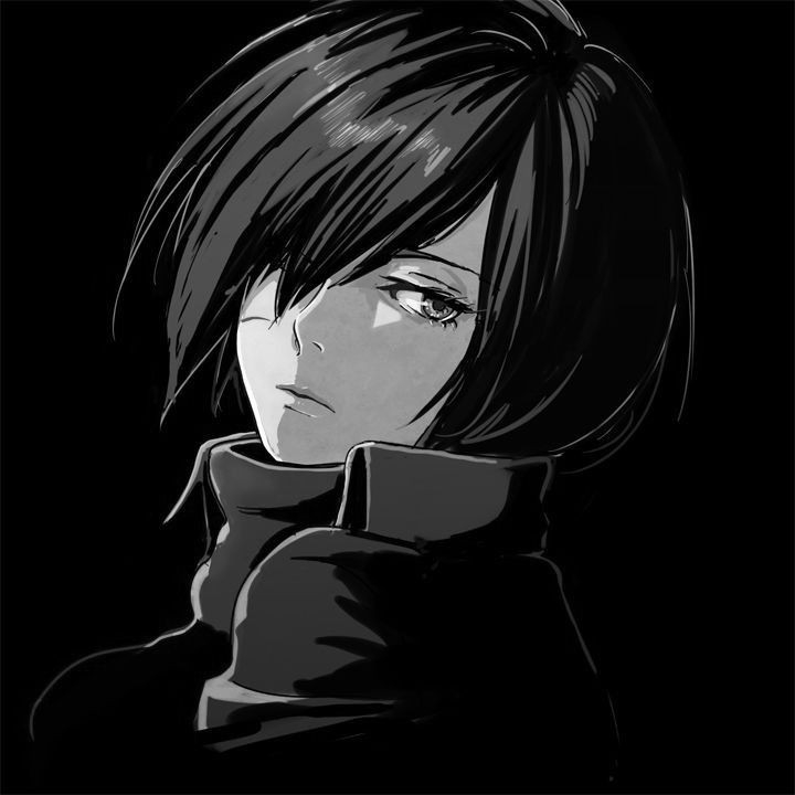 Mikasa AOT