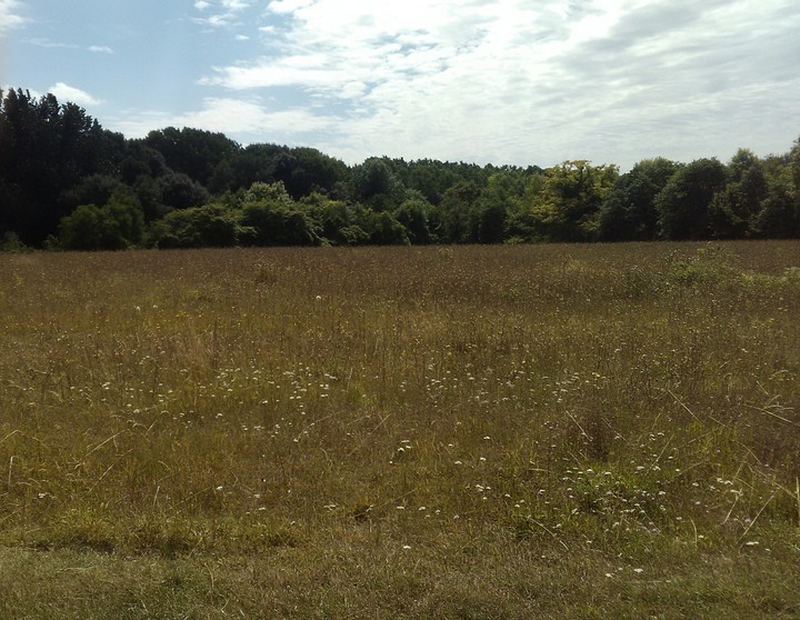 paysage