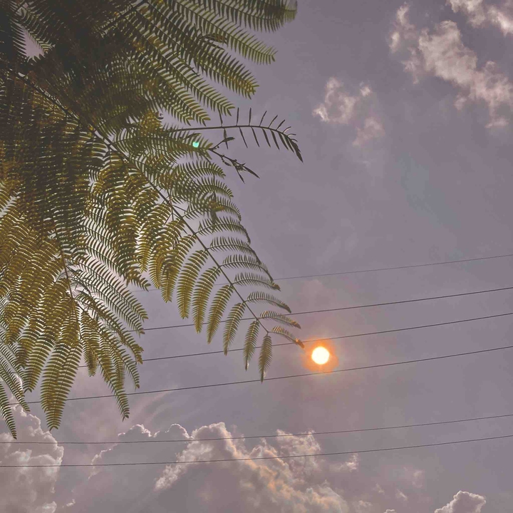 red sun