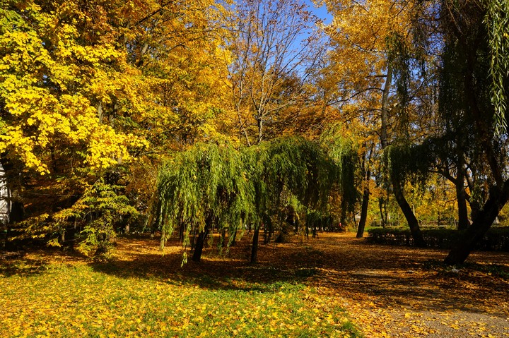 autumn