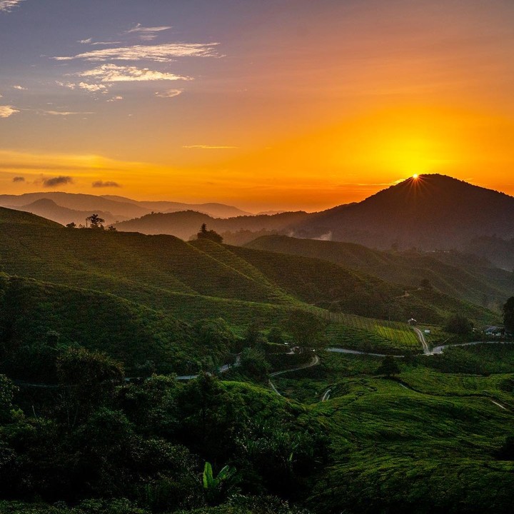 sunrise at cameron highland