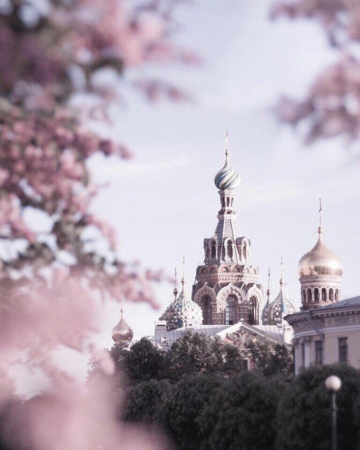 Санкт- Петербург