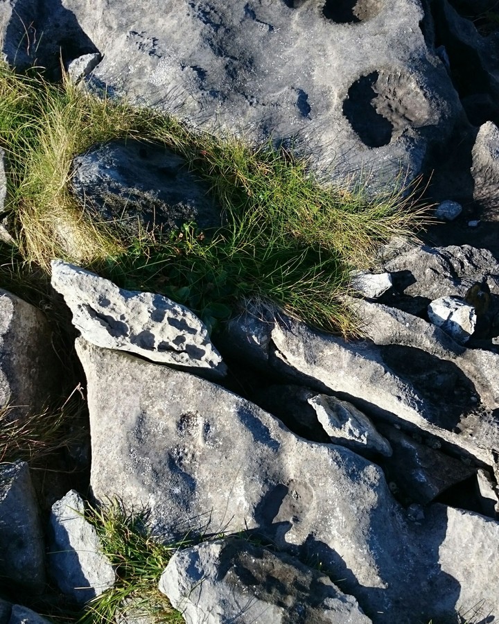 Stones at the Cliffs of Moher