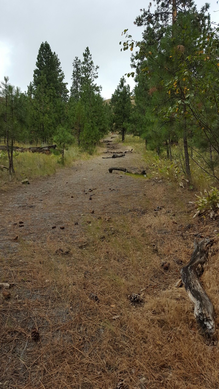 Rugged Path