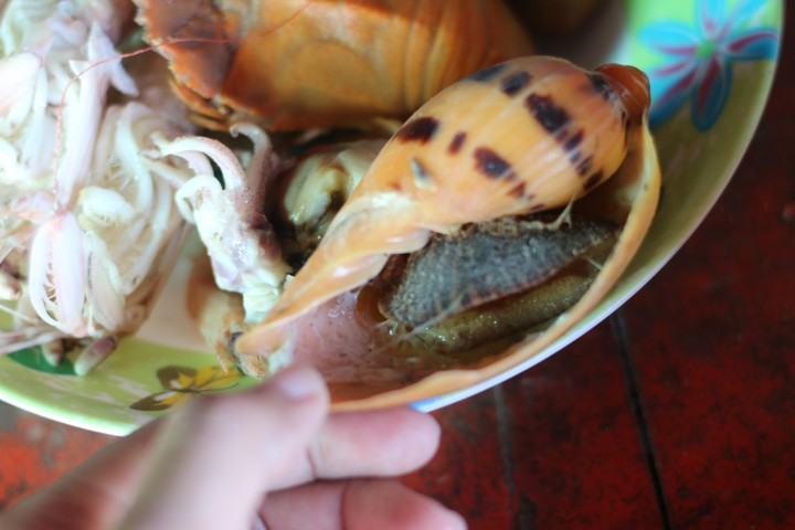 Sea food