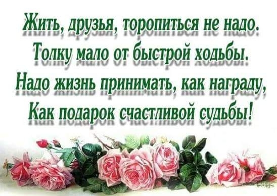 жизнь