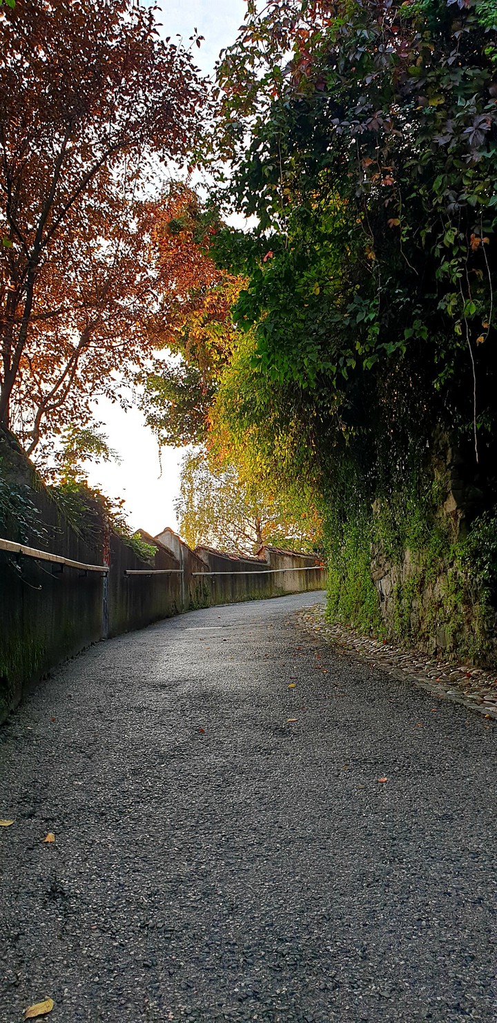 #autumn