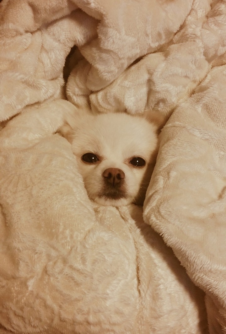 My baby