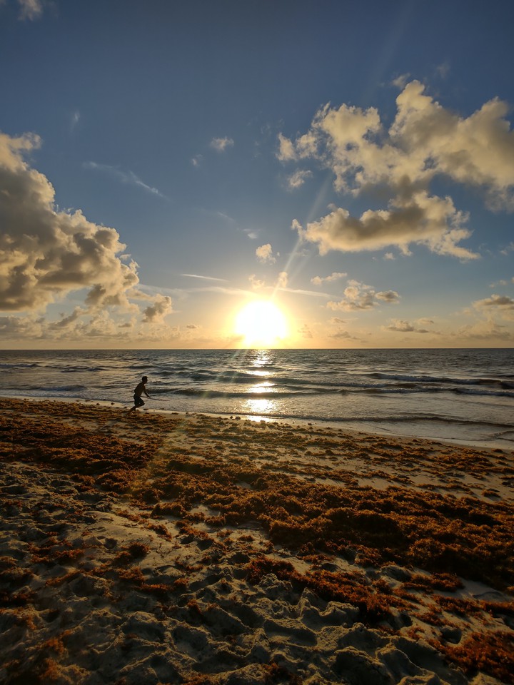 Early Riser