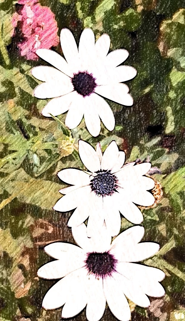 de jardín