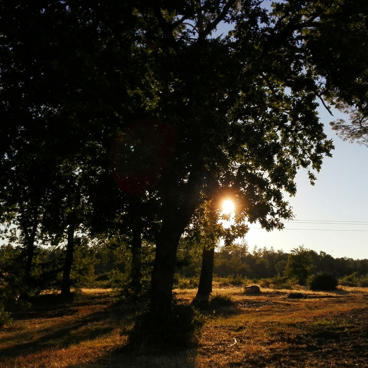 dry landscape