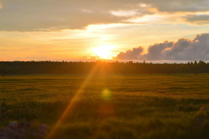 Sunset