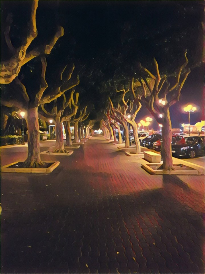 Viale alberato notturno
